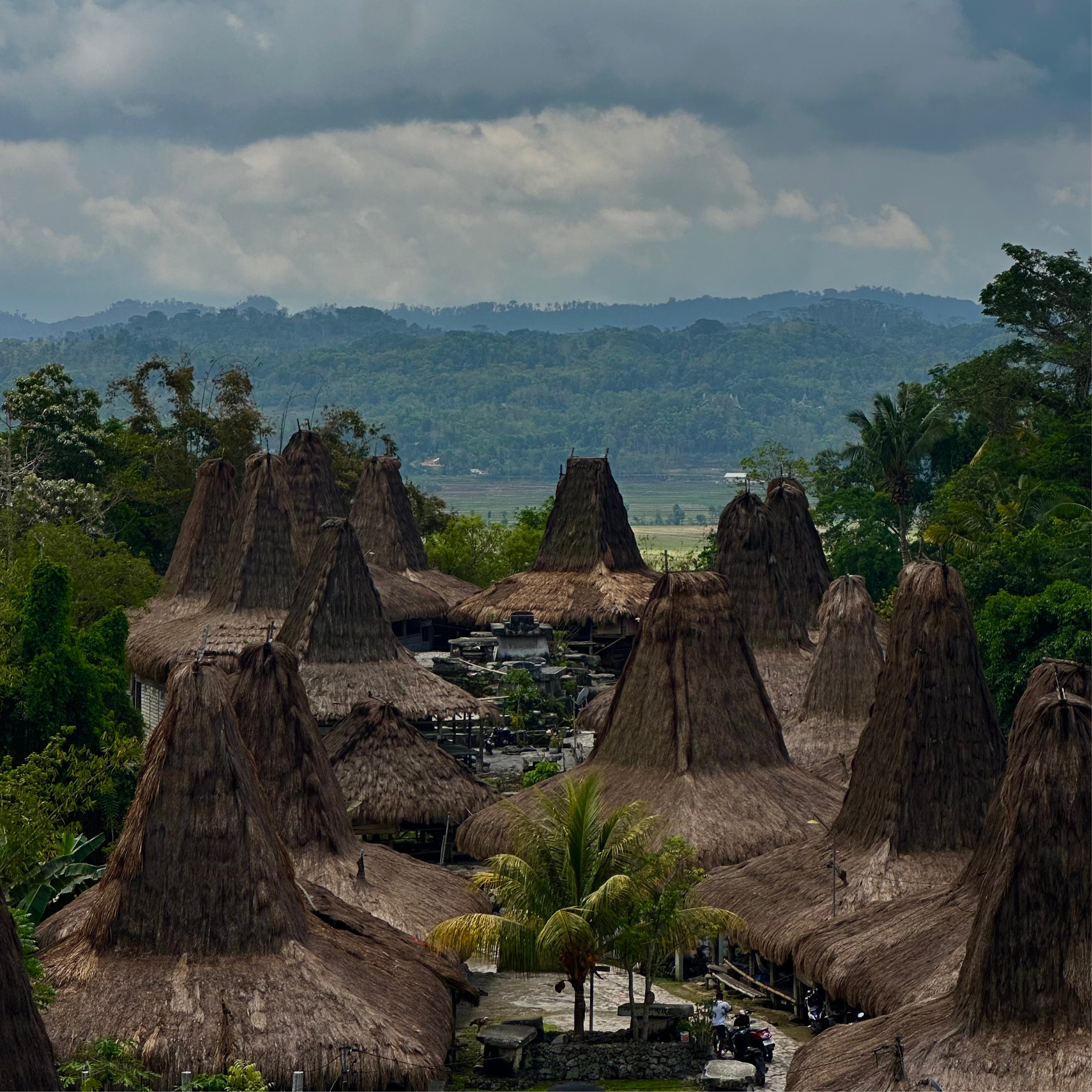 The Soft Wild Guide to Sumba